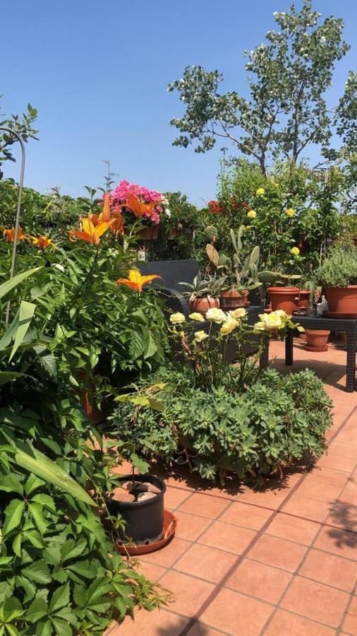 Apartament Il Giardino Sui Tetti Bolonia Zewnętrze zdjęcie